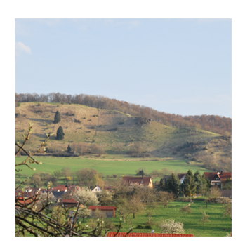 Kohlberg Landschaft